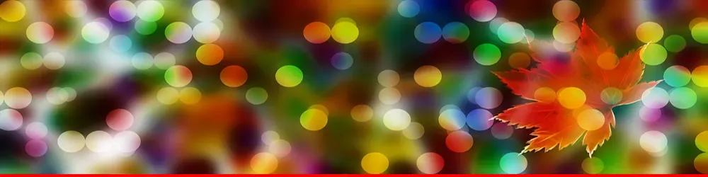 Terms and Conditions